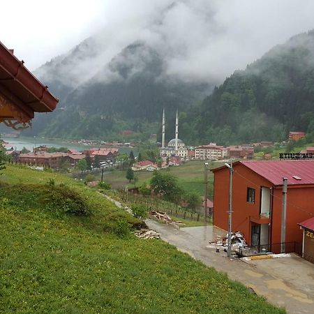 Uzungol Comfort Residence Экстерьер фото